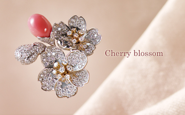 Cherry blossom