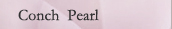 Conch Pearl
�@�`�R���N�p�[���`