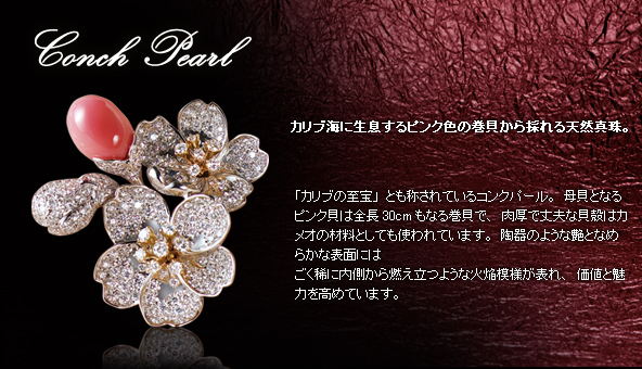 Conch Pearl
�@�`�R���N�p�[���`